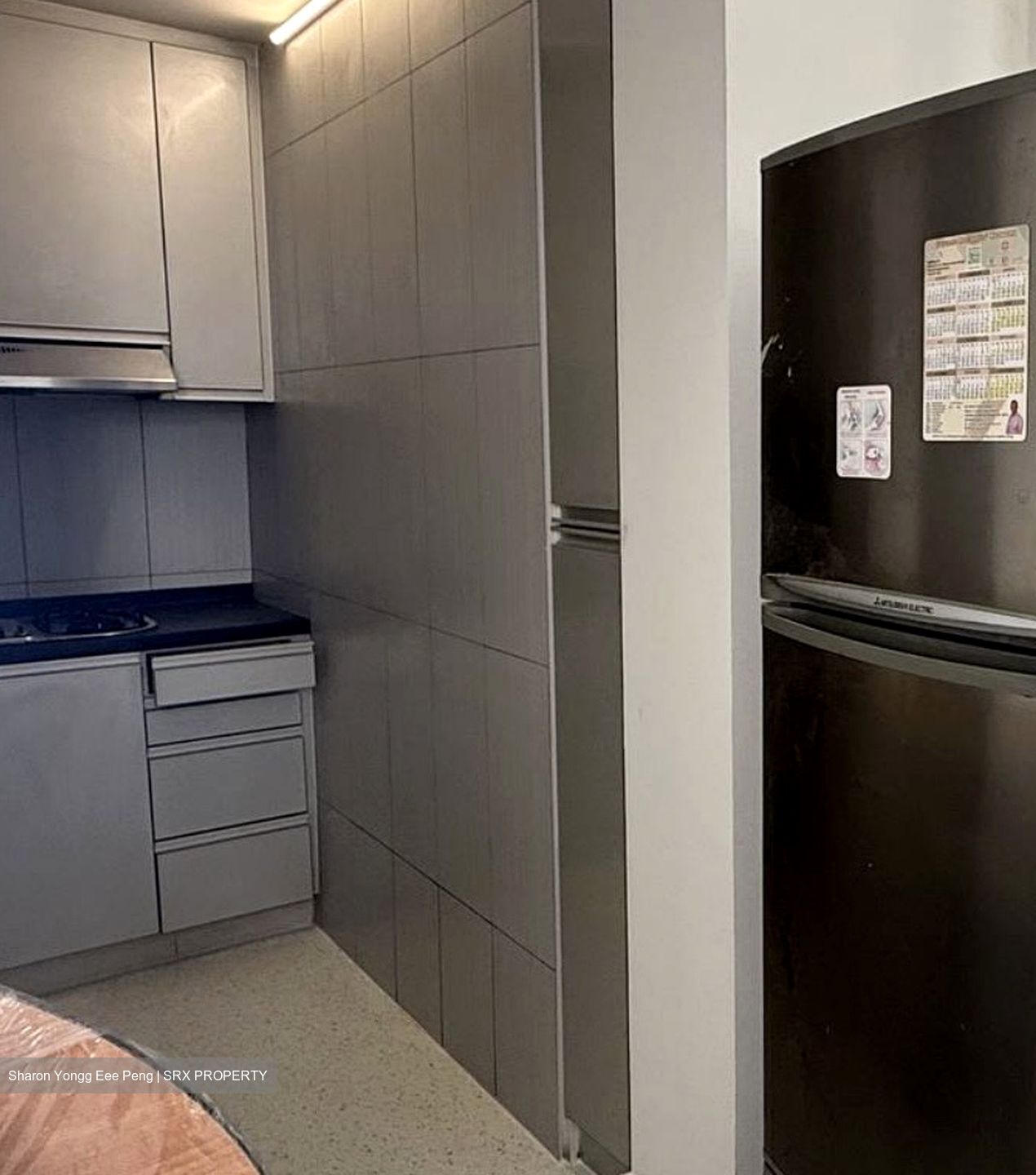 Evergreen View (D14), Apartment #571393771